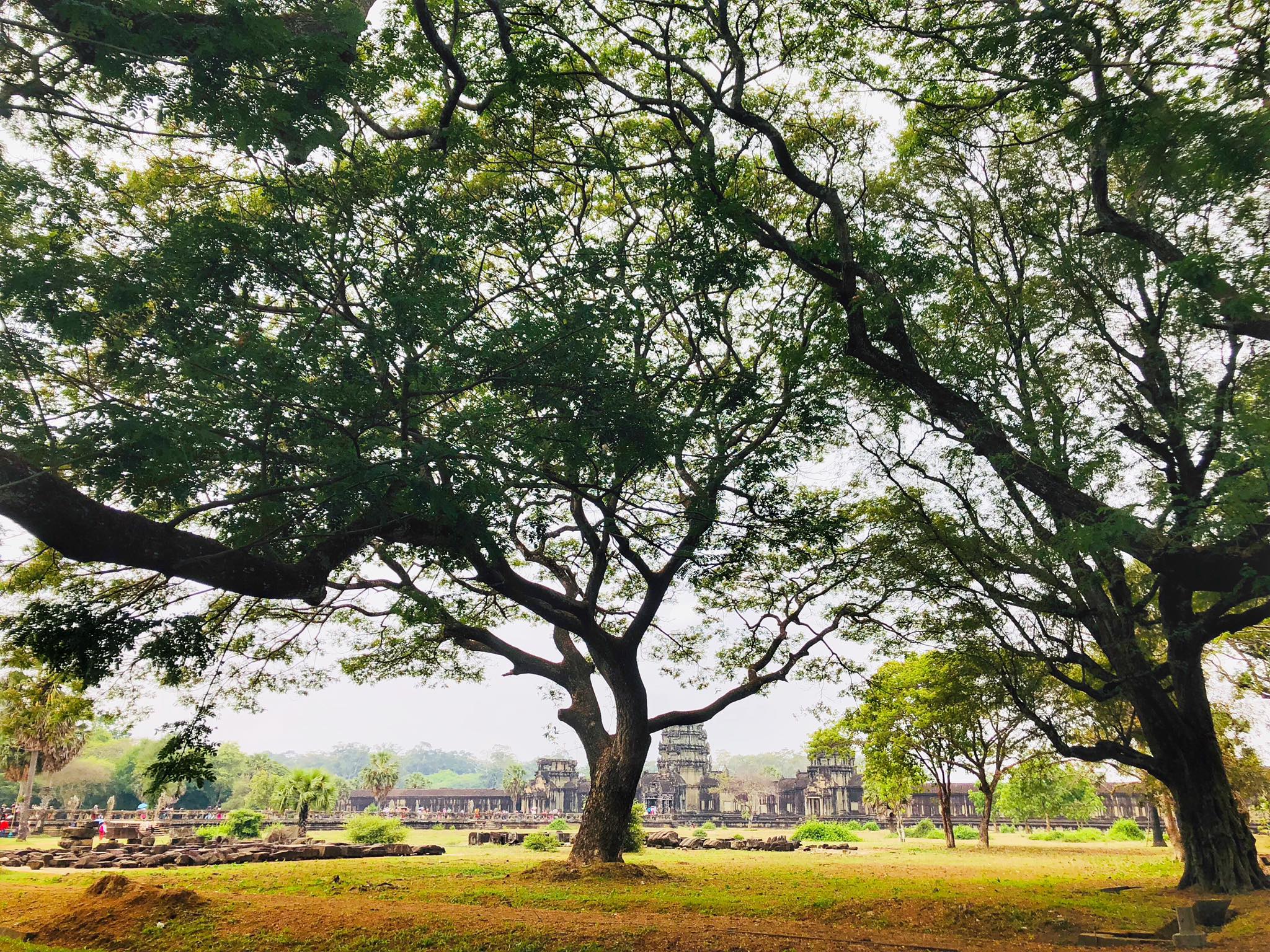 Cambodia Cycling from Angkor To The Beach 13 Days